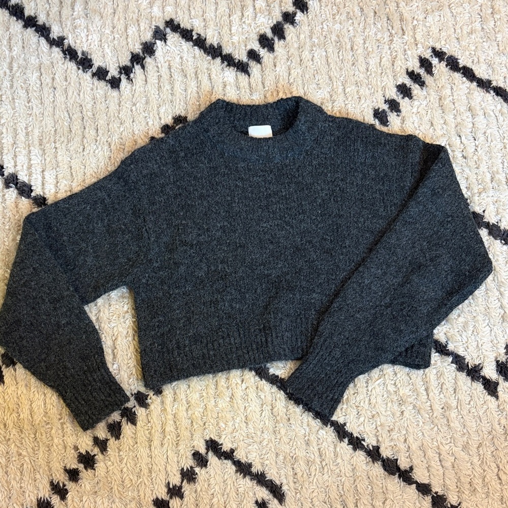 NWOT H&M Cropped Crew Neck Sweater (size Small)